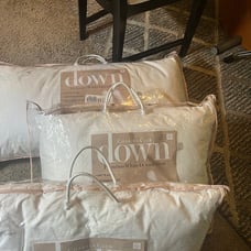 Charter 360 Down charter charter Club MediumDensity and heavy Pillows,bundle