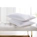 Charter 360 Down charter charter Club MediumDensity and heavy Pillows,bundle