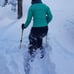 Trekking Poles - Lightweight, Collapsible Hiking Poles for Backpackin