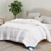 Down Alternative White Comforter