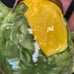 Limoges Trinket Box Peint Main Rochard France Corn Teapot Handpainted Paint Loss