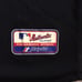 Minnesota Twins Authentic BP Jersey