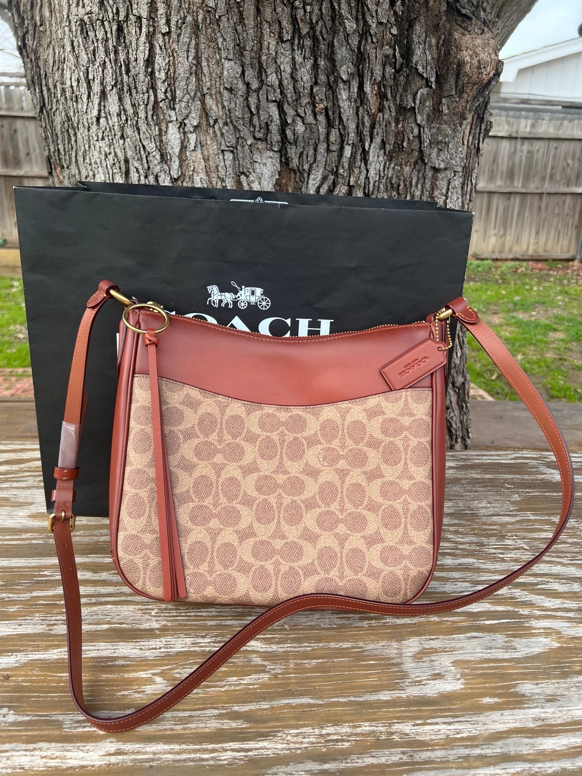Coach Chaise Crossbody In Signature Canvas