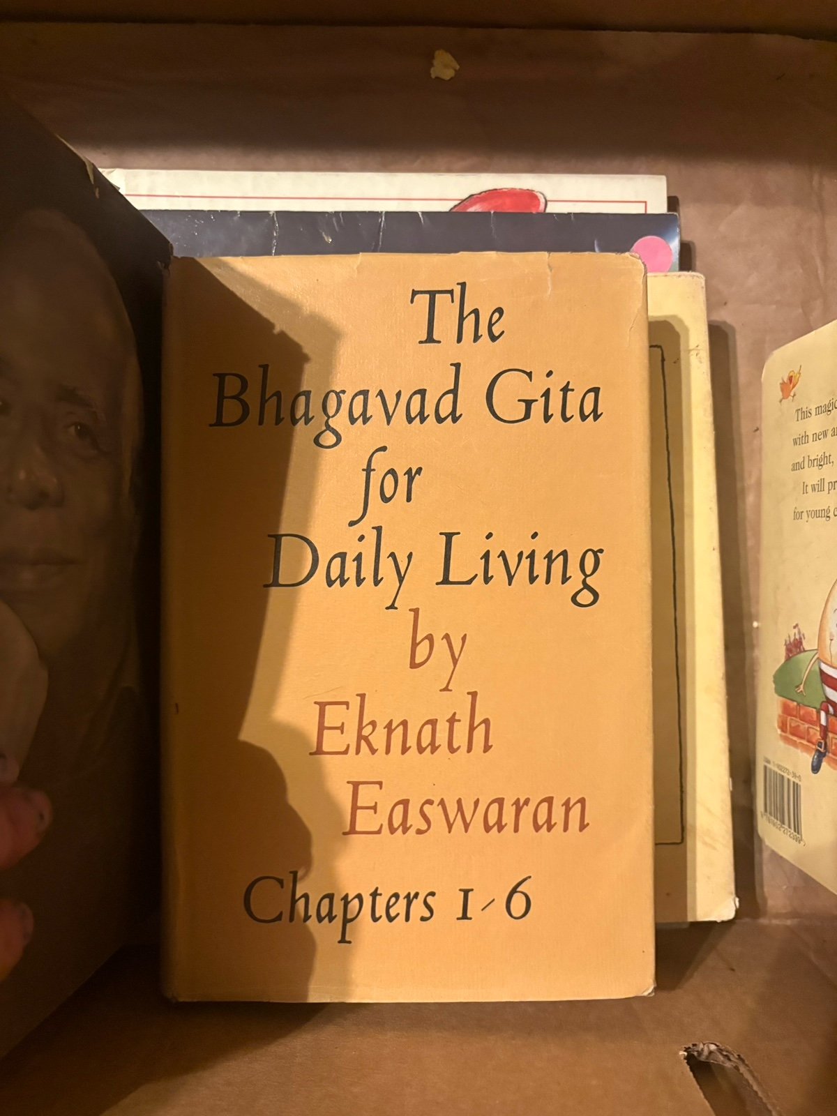 The Bhagavad Gita for Daily Living