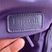 Lipault Paris Original Plume carry-on spinner luggage used lightly