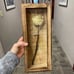 5x12.5 Flower Shadow Box Pin Display Case Cabinet Picture Frame with Linen Back