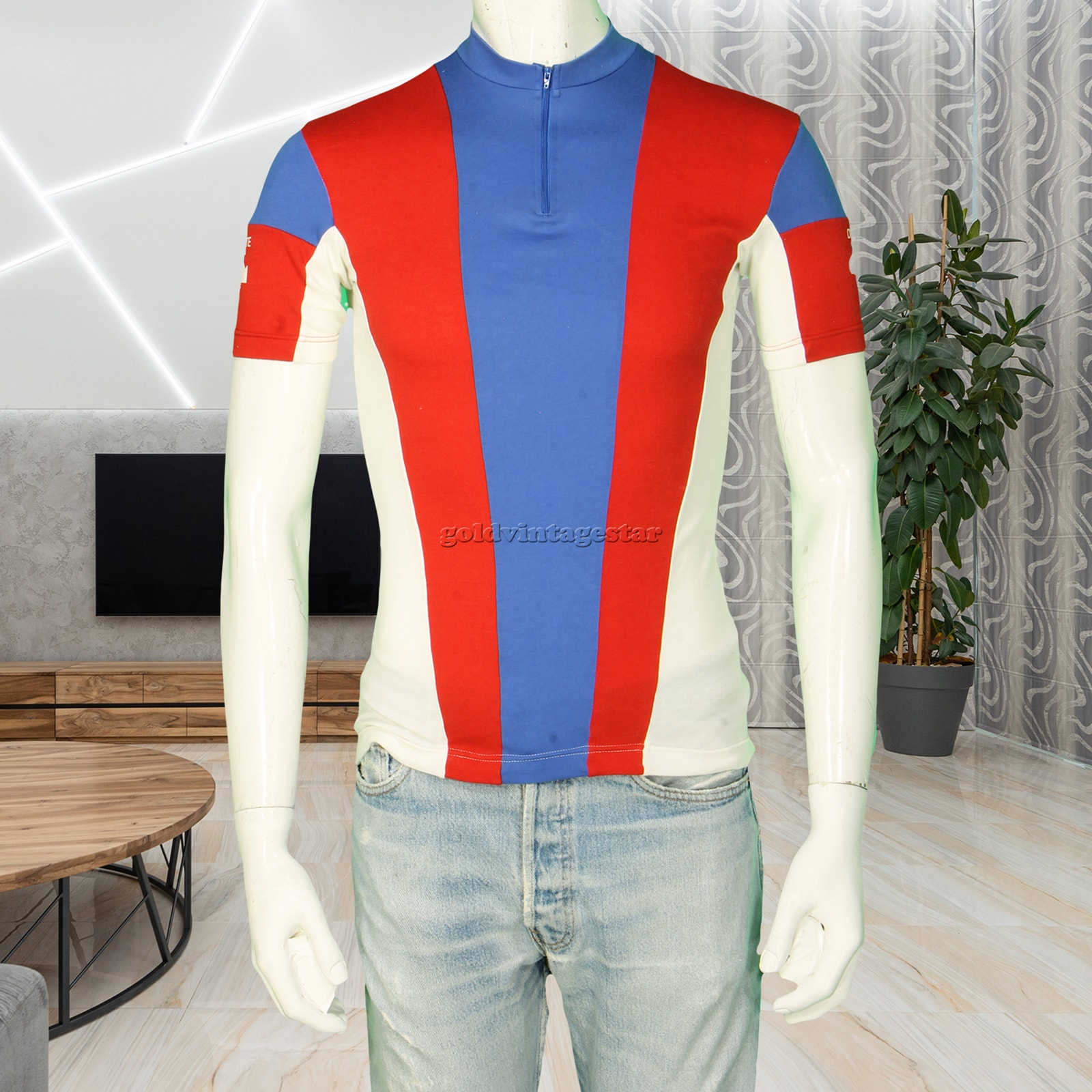Vintage Descente Japan Stripe Cycling Jersey