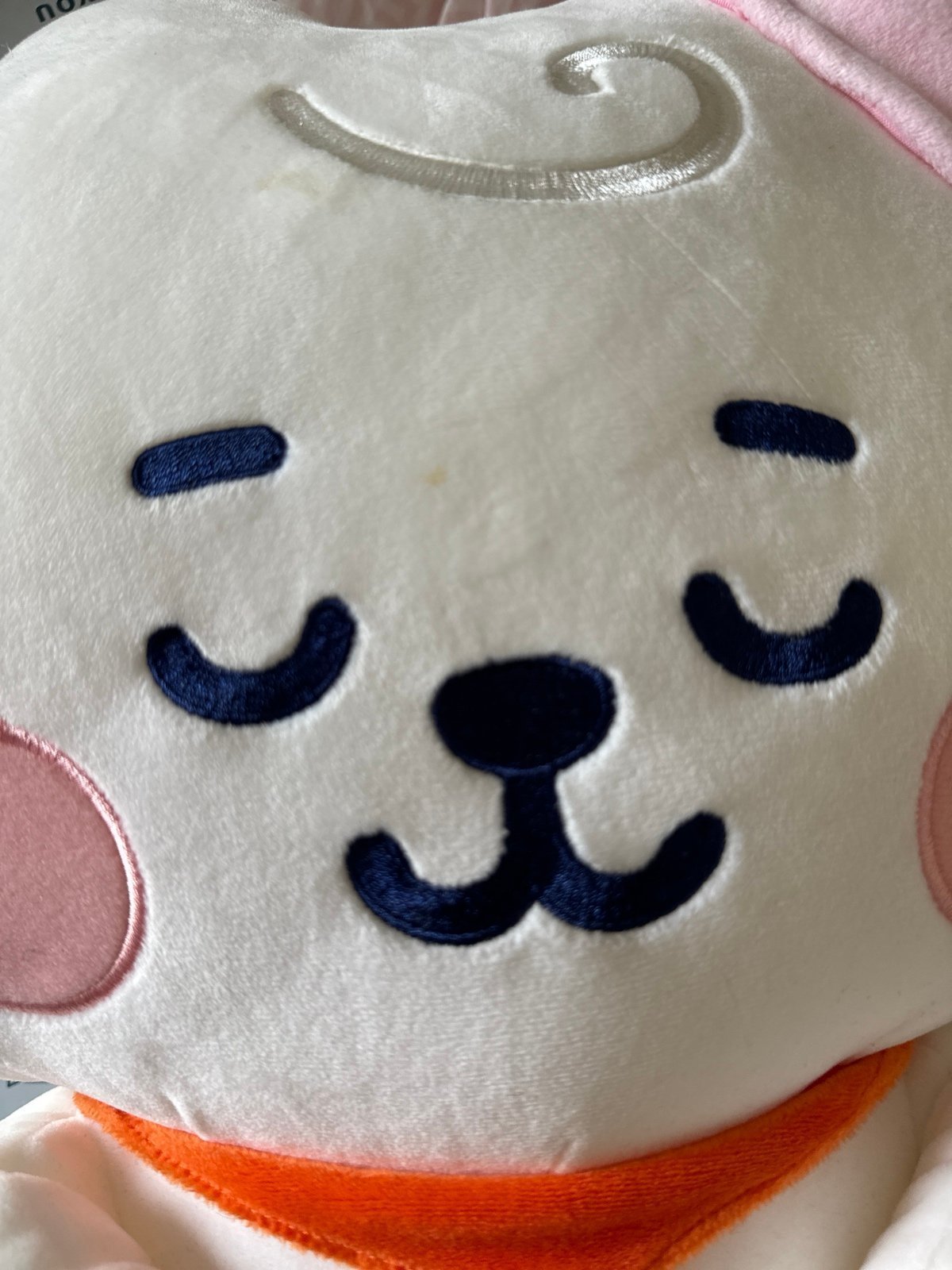 Bt21 Rj sleeping Plush - detail