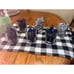 Norman Rockwell The Saturday Evening Post Glassware Collection Lot of 6 Glasses