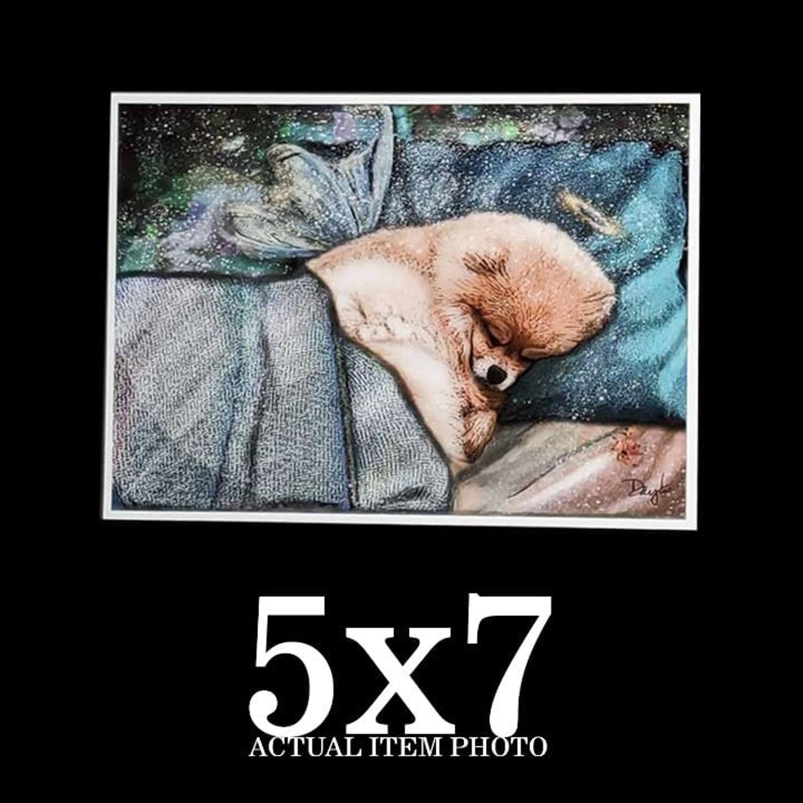 Sweet Pomeranian Angel Halo Wings Memorial Sympathy Print 5x7