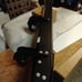Passenger side step bar with brackets br