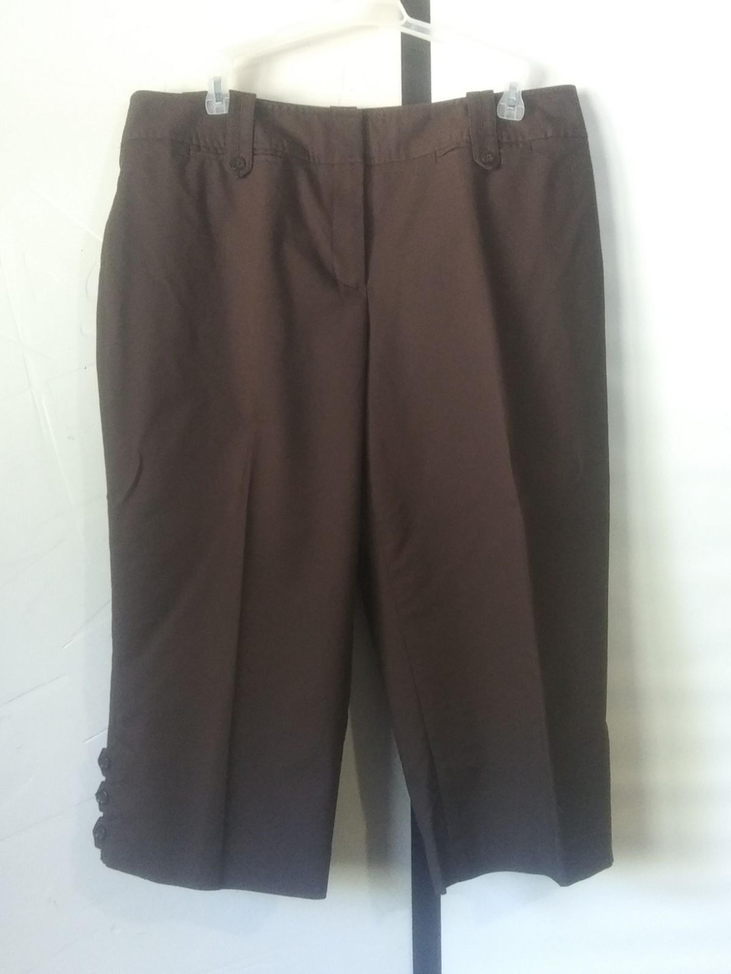 Ann Taylor Capri Pants