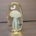 Vintage Paperweight Hand Blown Jellyfish Art Glass Paperweight