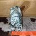 Druzy Moss Agate Elephant