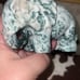 Druzy Moss Agate Elephant