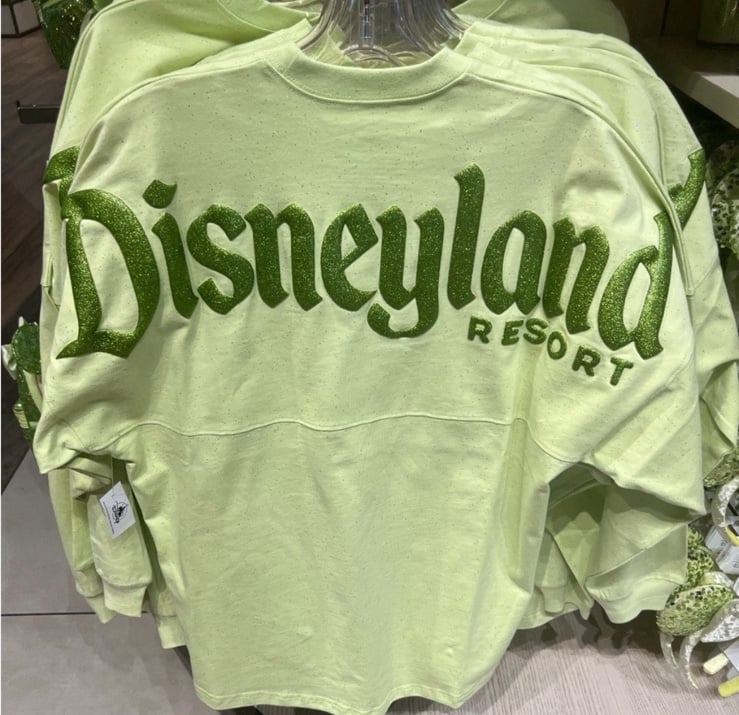 NWT Tinkerbell Disneyland Spirit Jersey large