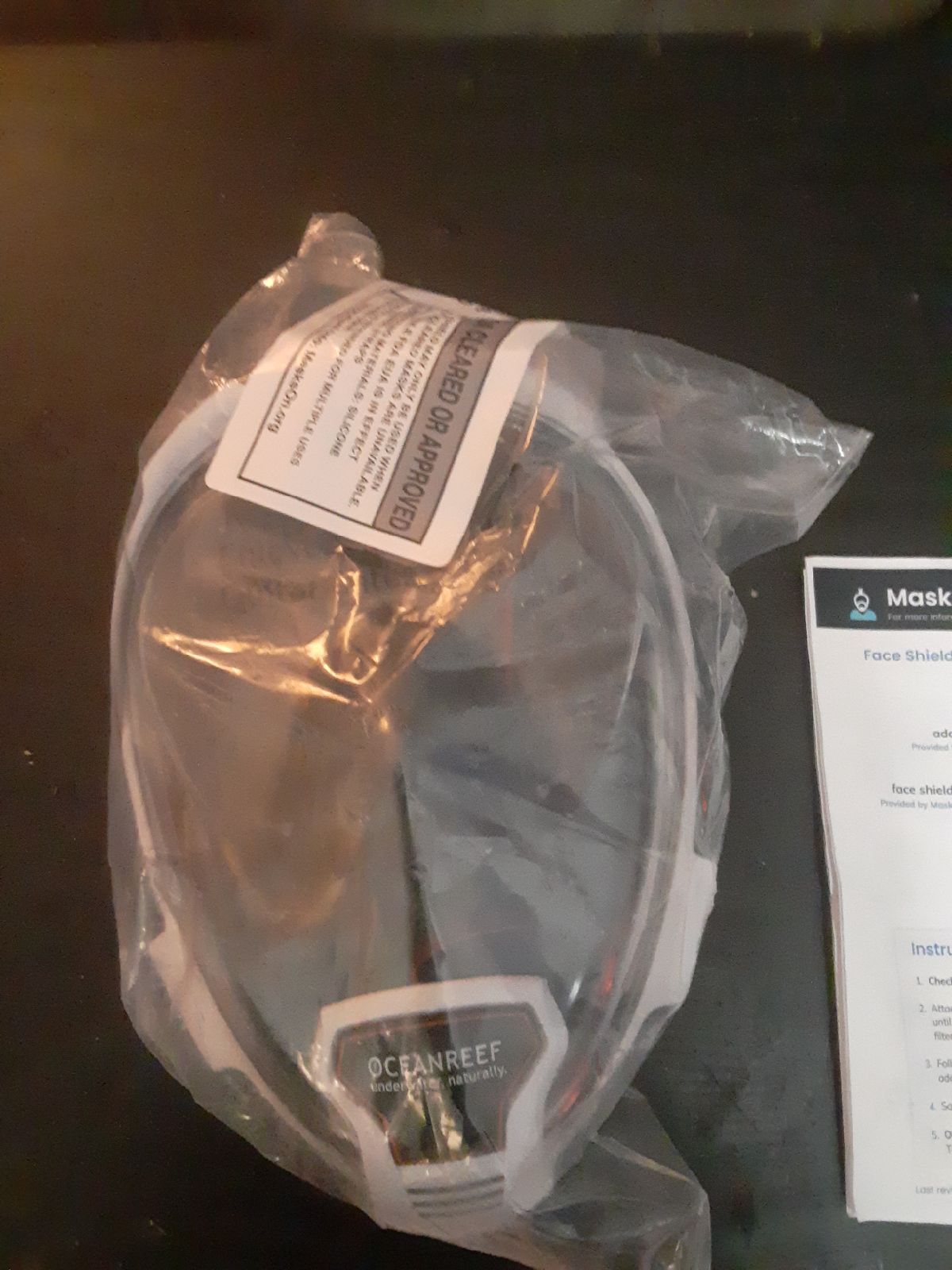 Ocean reef PPE/Diving mask