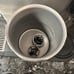 Nespresso Coffee Maker