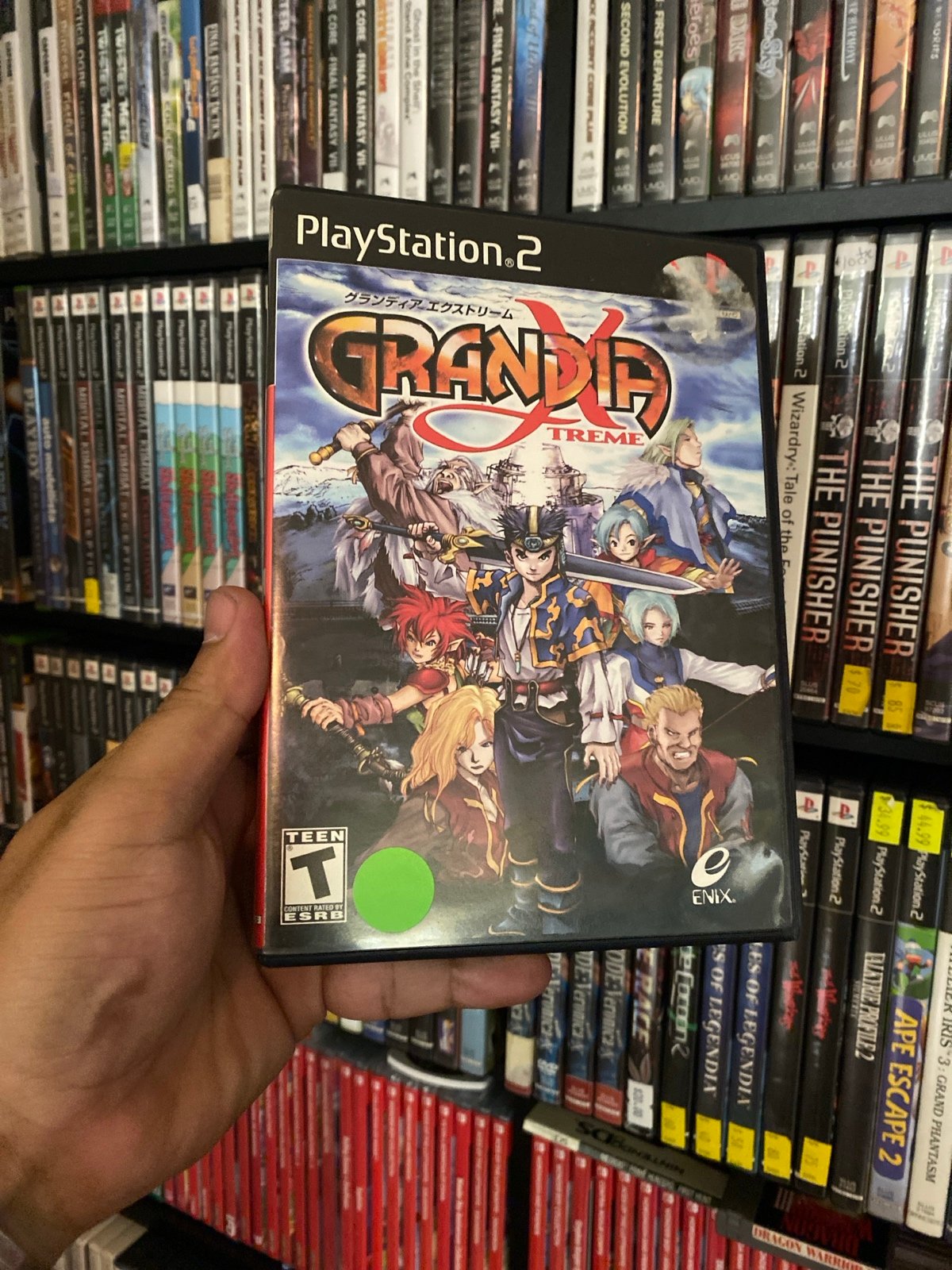 Grandia Xtreme For Playstation 2