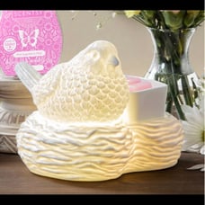 Birds of a feather scentsy warmer
