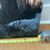 Morris Island Lighthouse Painting