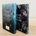 Fairyloot Signed SPELLS for FORGETTING + Bookish Box Signed UNTAINTED