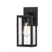 Hukoro Martin 1-Light Matte Black Outdoor Wall Lantern Sconces (2-Pack)