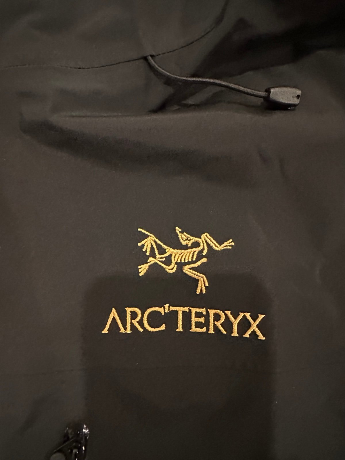 Arcteryx Alpha SV Jacket 24K Black