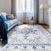 NEW 5x7 Rugs for Bedroom Washable Area Rug Soft Accent Rugs for Living Room