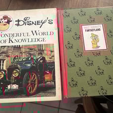 Lot of 2 Hardcover Vintage Walt Disney Books