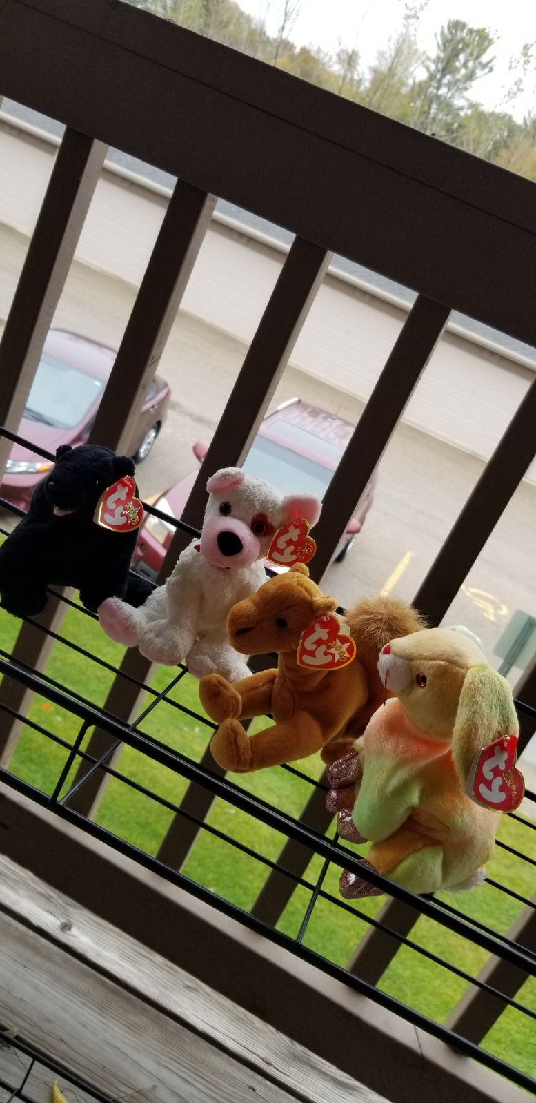 4 Beanie Babies 2000 2001