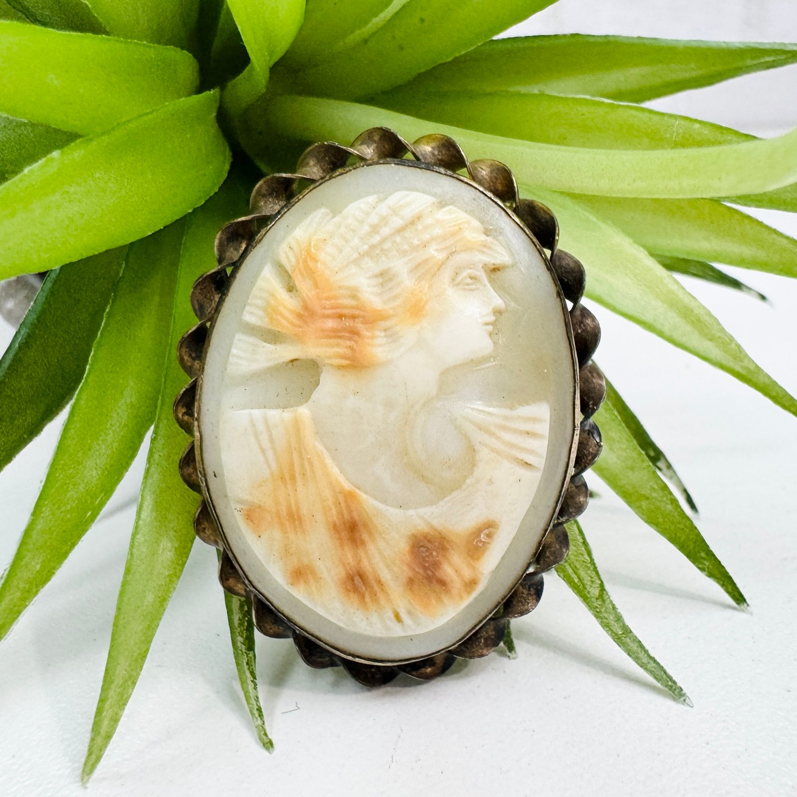 Antique 1910’s Grecian Sterling Silver Spotted Shell Cameo Brooch Twisted Frame