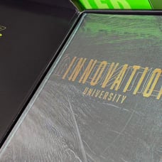 INNOVATION UNIVERSITY What The Ducks Book