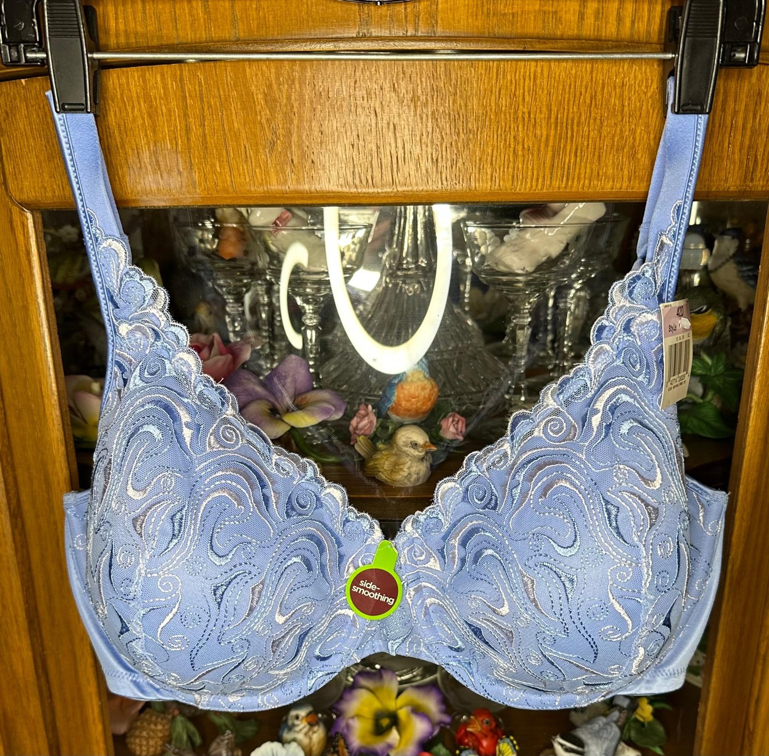 Playtex Blue/Silver New With Tags Size 42D