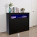 Modern Storage Display Cabinet with LED Light, Black