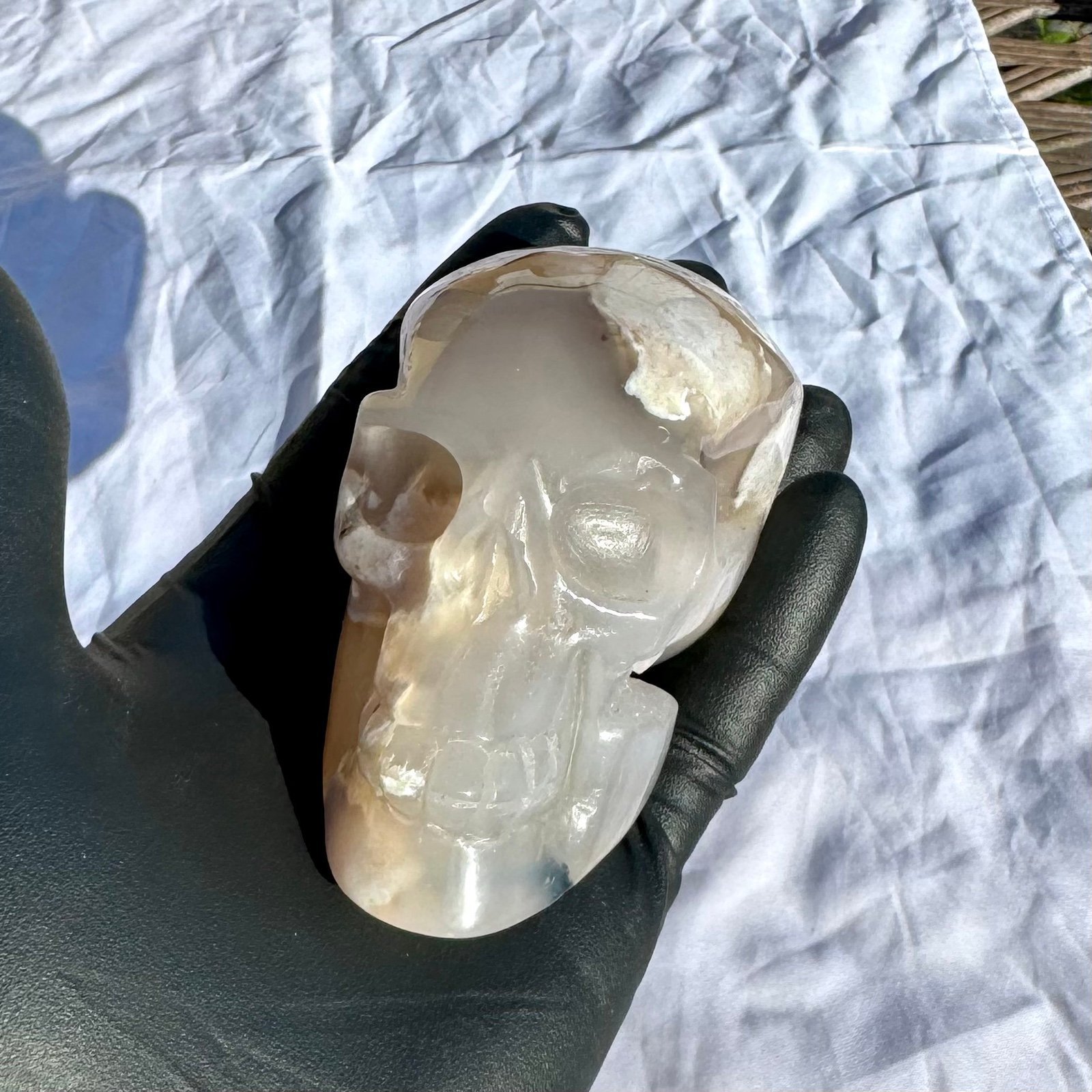 Dendritic Flower Agate Skull with a Double Druzy Cave