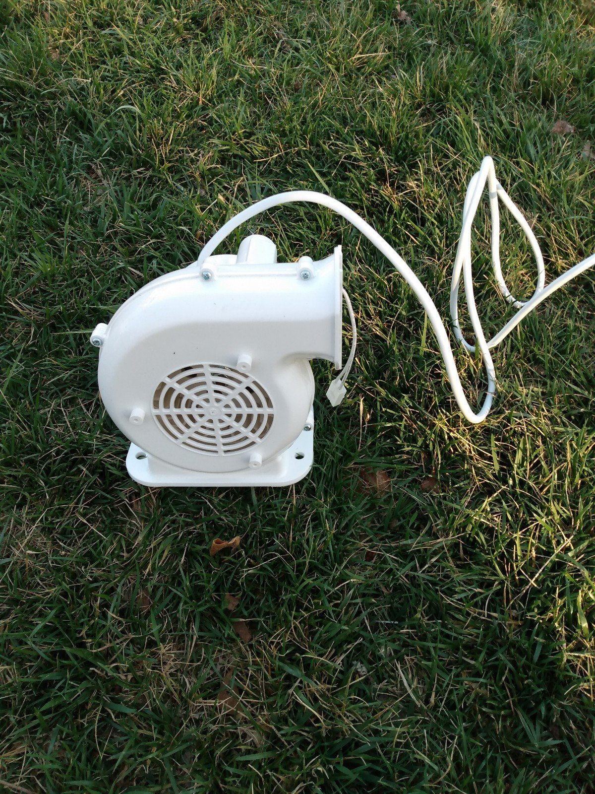 Inflatables fan