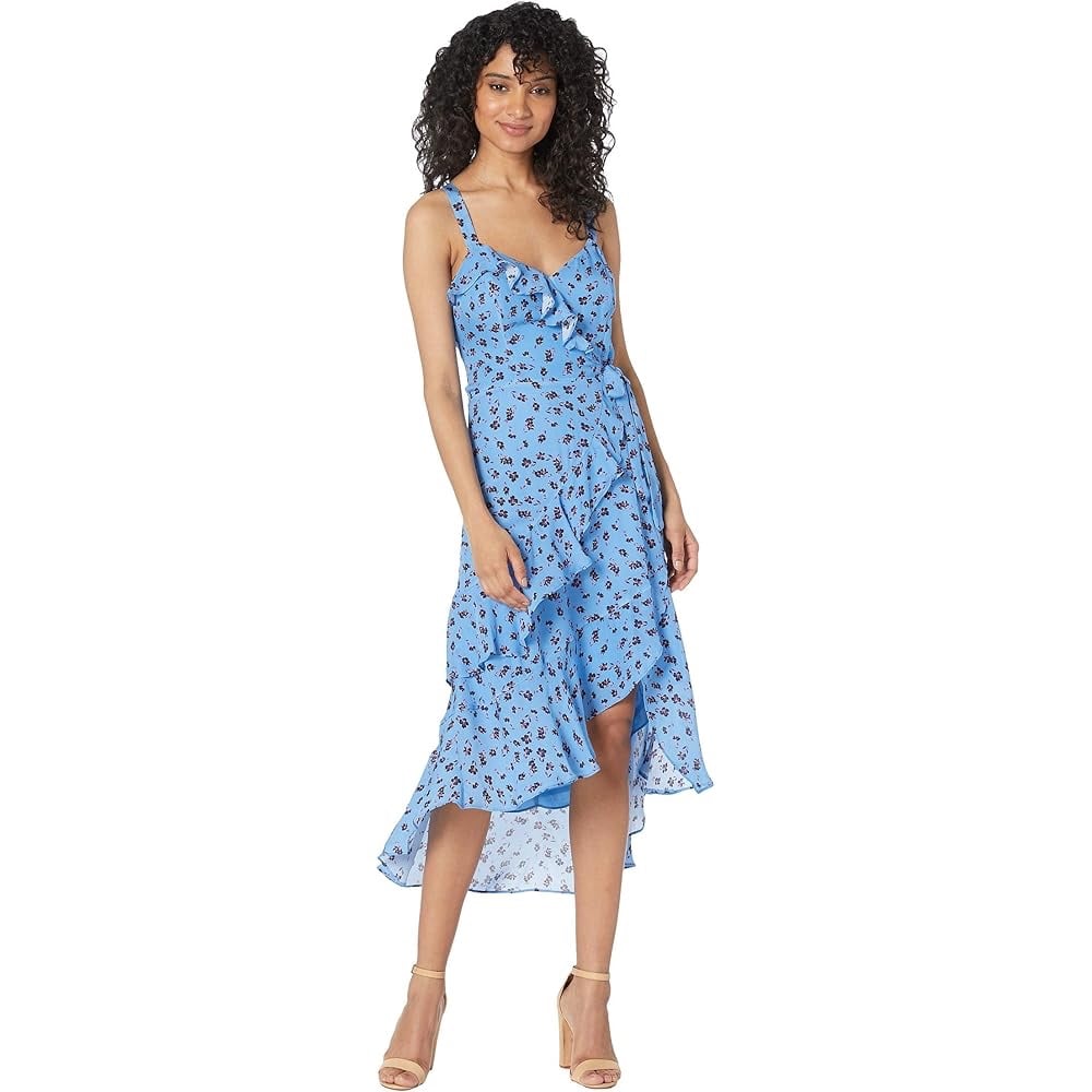 NWT Sz 4 Parker Blue Floral Kathy Dress (398)