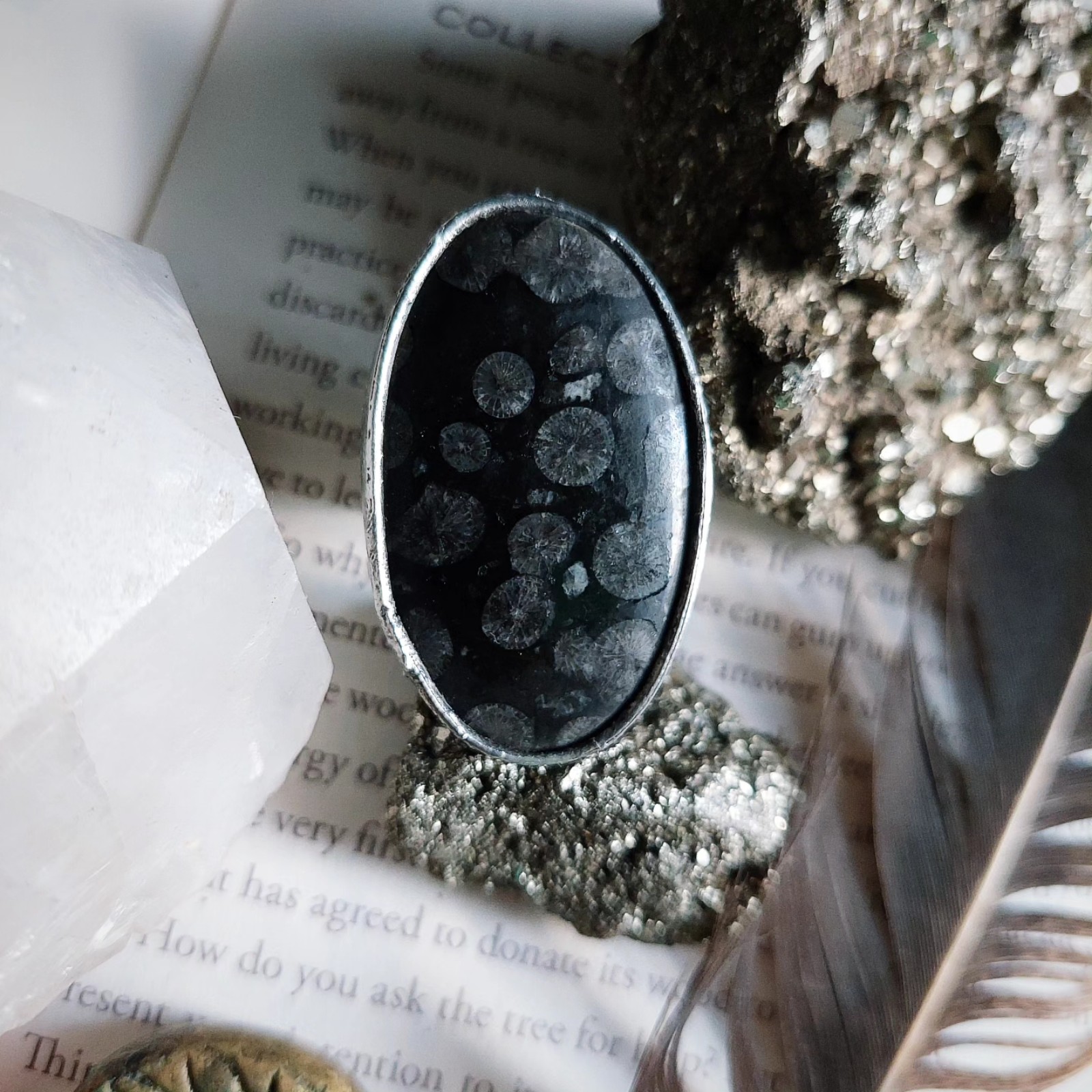 Stingray Black Coral Fossil Ancient Adjustable Ring