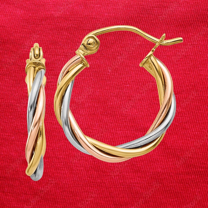 14k Tri-color Polished 2.5mm Twisted Hoop Earrings