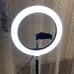 LED Ring light with stand
