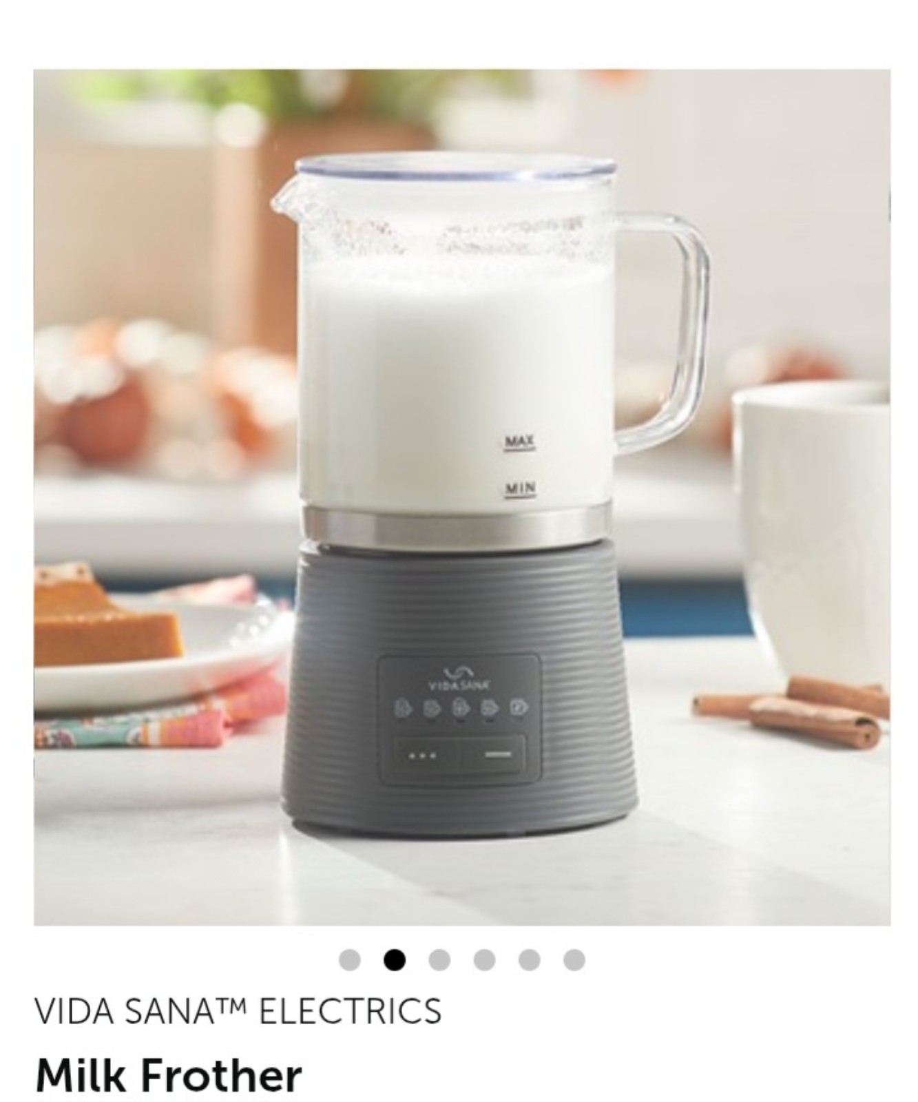 Princess House Vida Sana Milk Frother