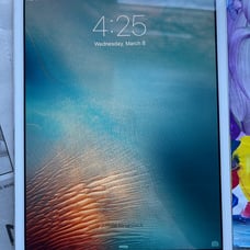 2012 iPad Mini (First Generation)