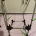 Bugaboo CAMELEON frame
