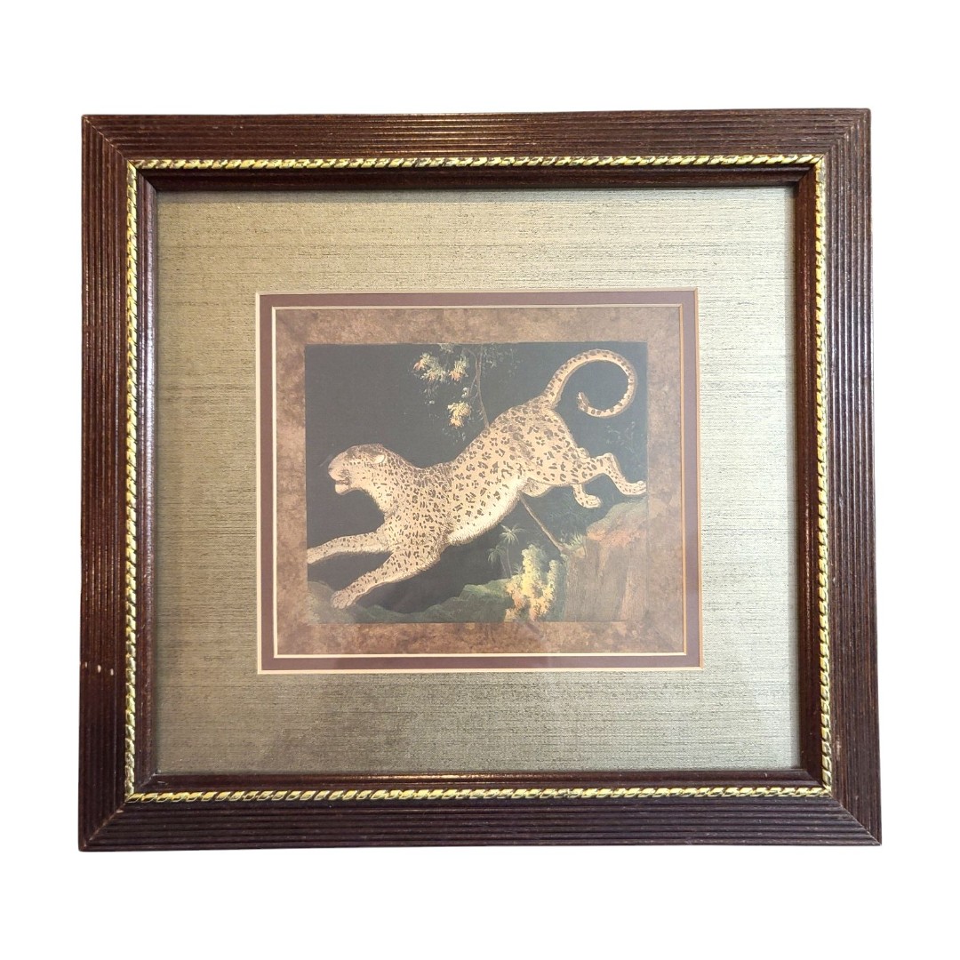 Vintage Carolina Mirror Print Jaguar Jungle Animal Matted and Framed 12x13