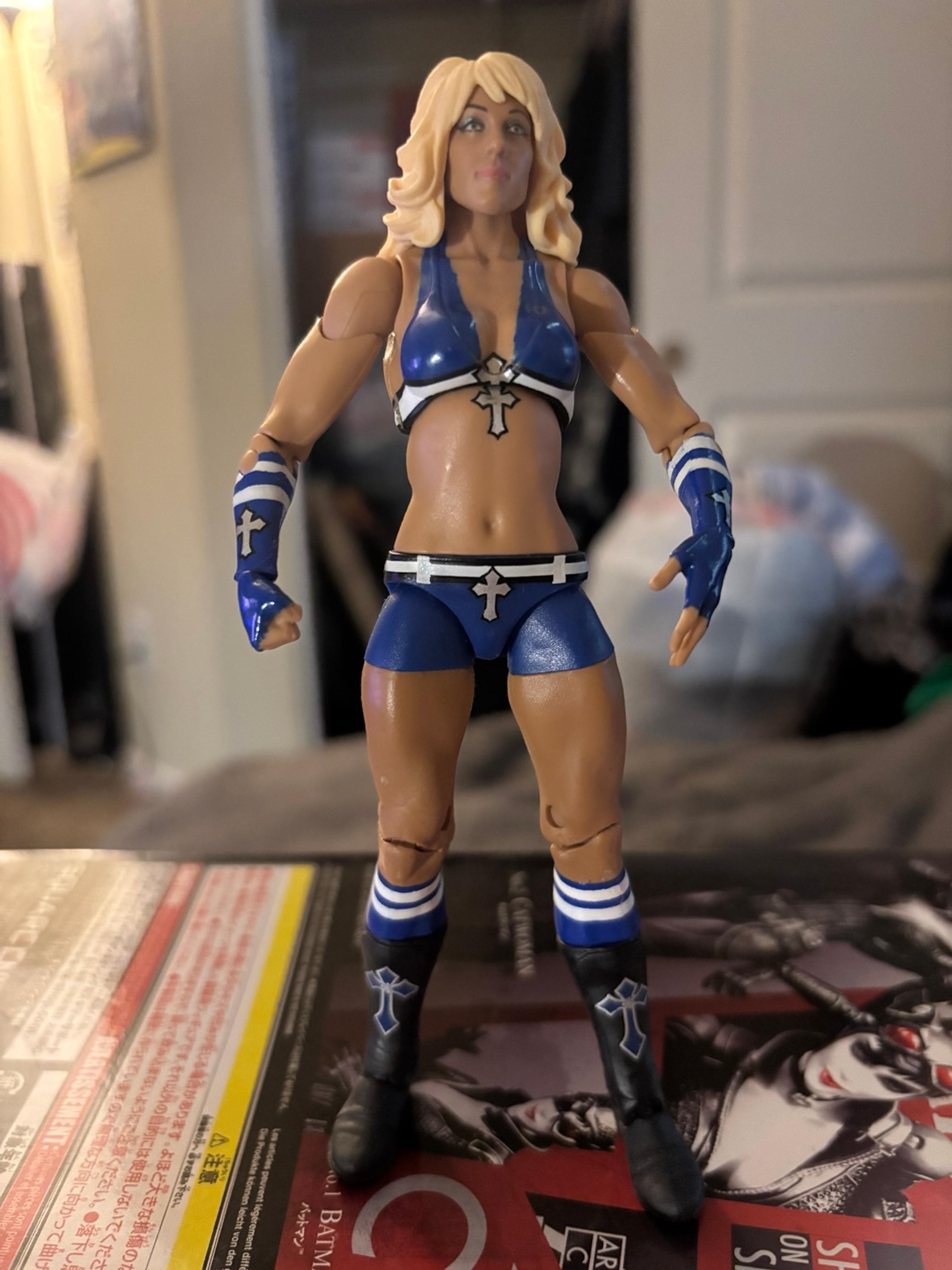WWE series 7 Michelle McCool action figure from Mattel