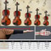 NEW 4/4 FULL SIZE ACOUSTIC VIOLIN FIDDLE .