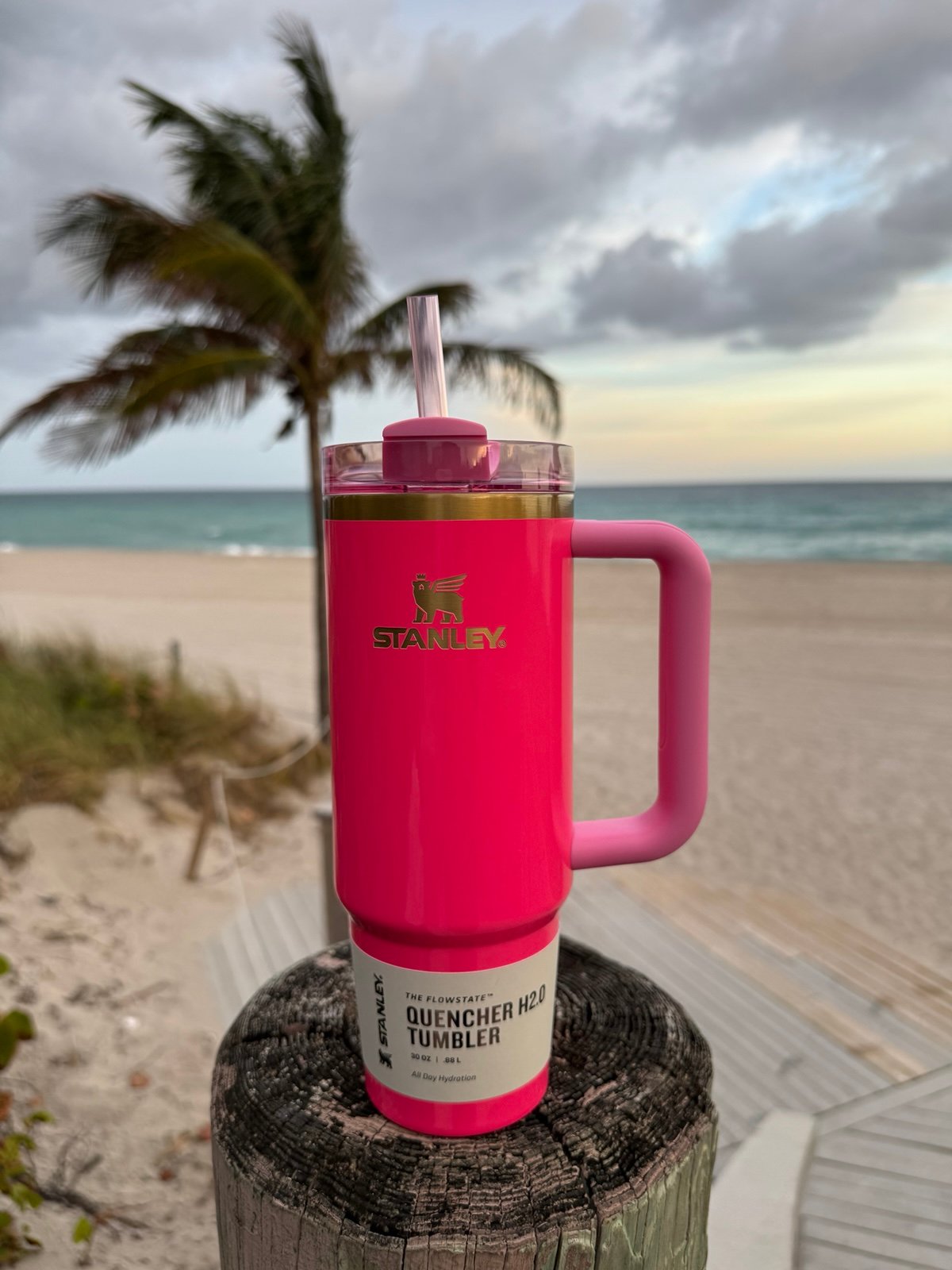 Stanley Pink Parade 30oz Tumbler