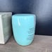 Tatcha The Rice Polish: Deep Foaming Enzyme Exfoliant Powder