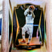 Panini Select Anthony Edwards Silver Prizm Rookie card LeBron James Silver Prizm